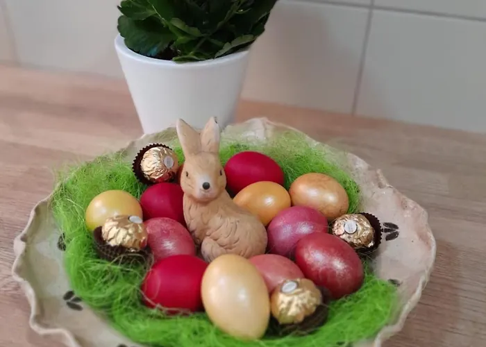 Daire Ap Hector Navodari